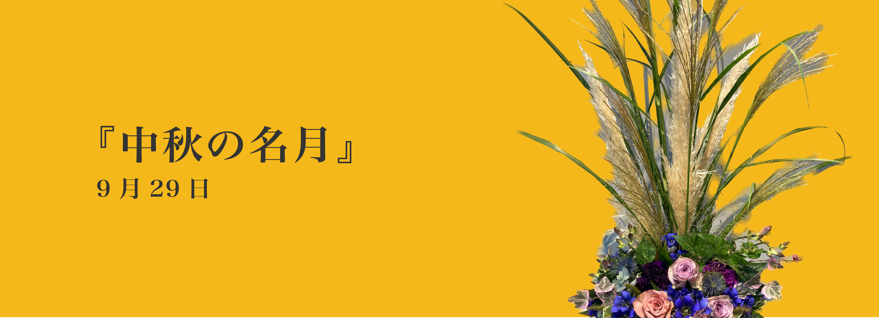 今月のおすすめ