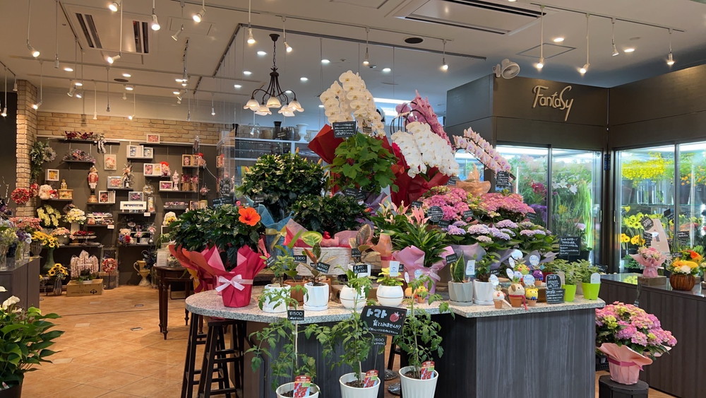 おしゃれな花束がいろいろ 西宮北口にあるおすすめのお花屋さんはここ Pathee パシー